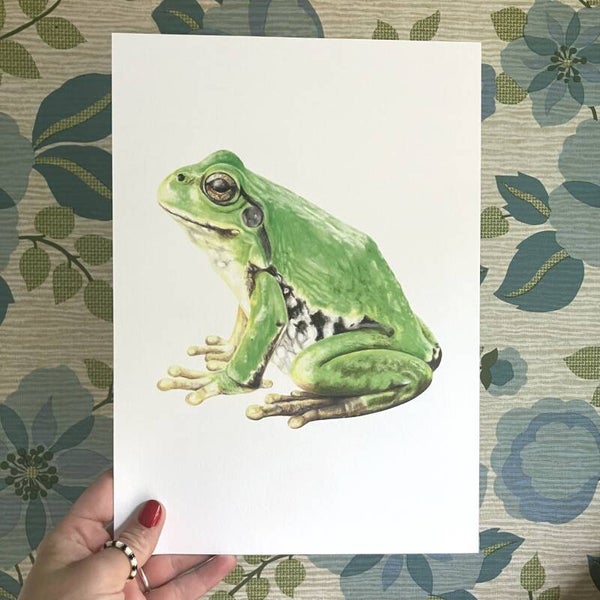 Print kikker kleur A4