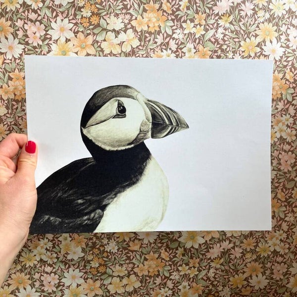 Print papegaaiduiker A4