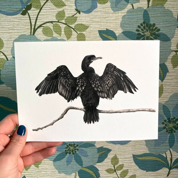 Print Aalscholver A5