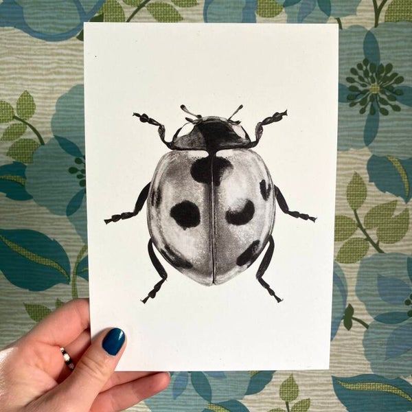 Print Lieveheersbeestje A5