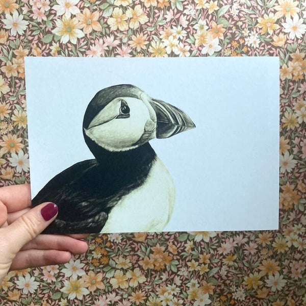 Print papegaaiduiker A5