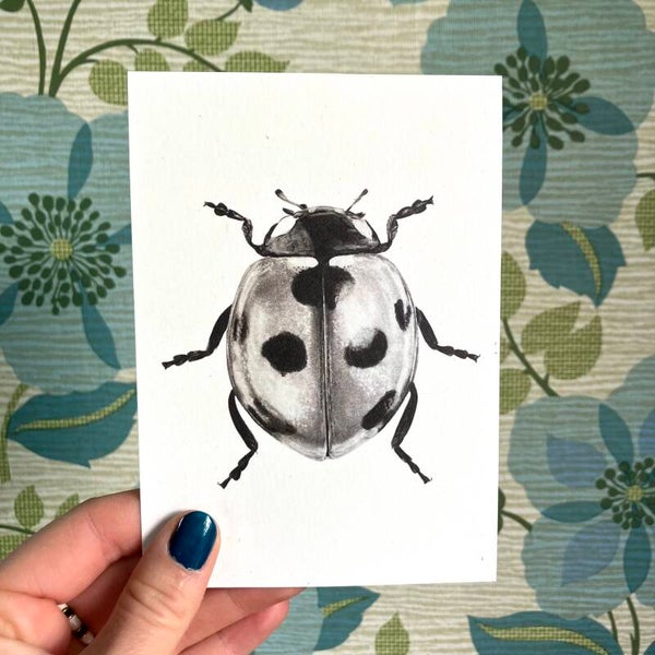 Postkaart Lieveheersbeestje