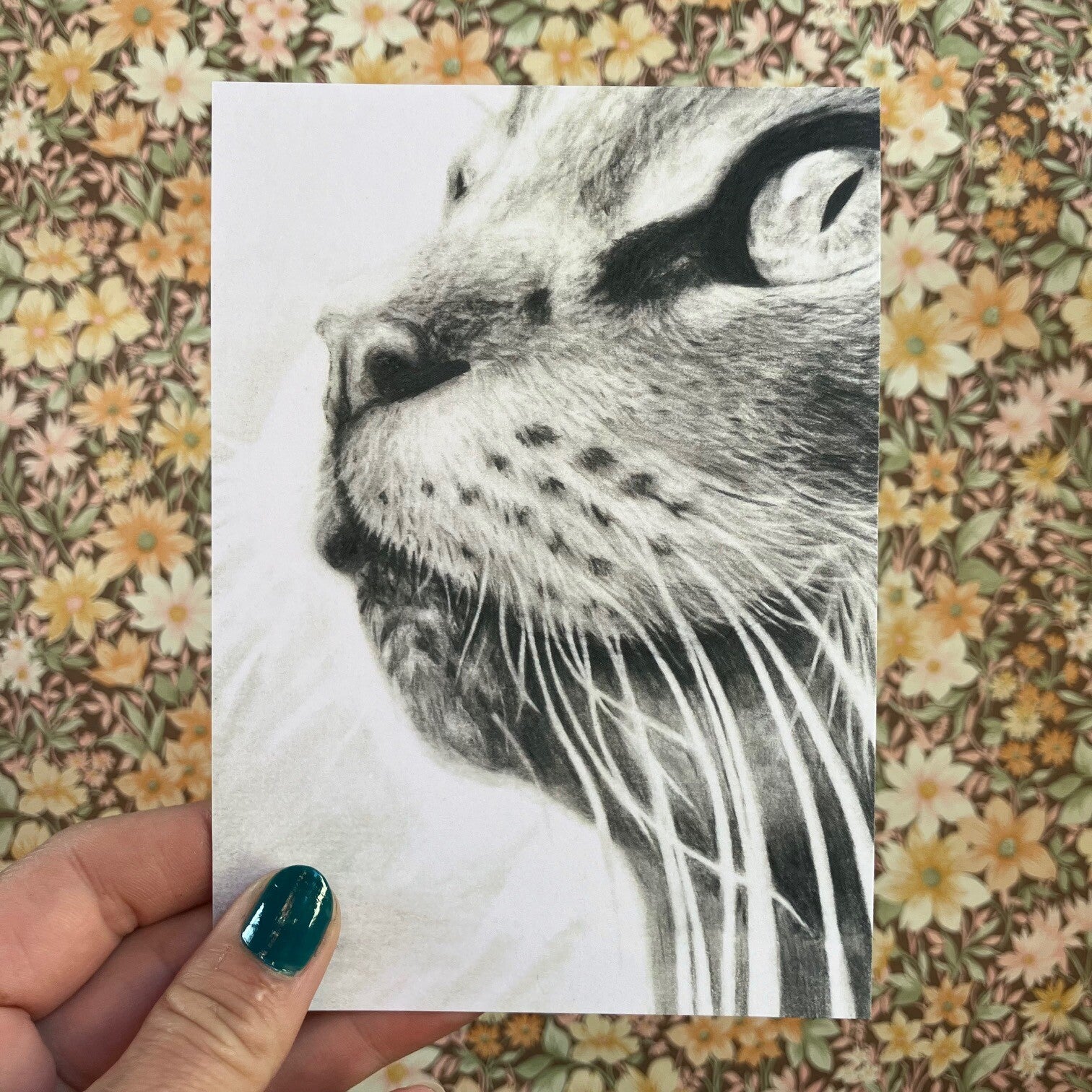 Postkaart kat Moortje