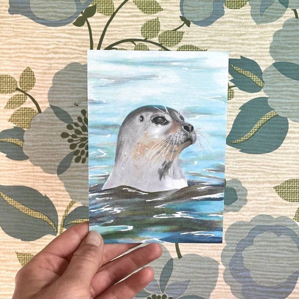 Postkaart Zeehond