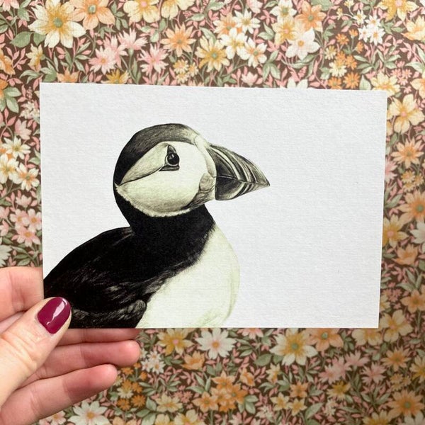 Postkaart papegaaiduiker