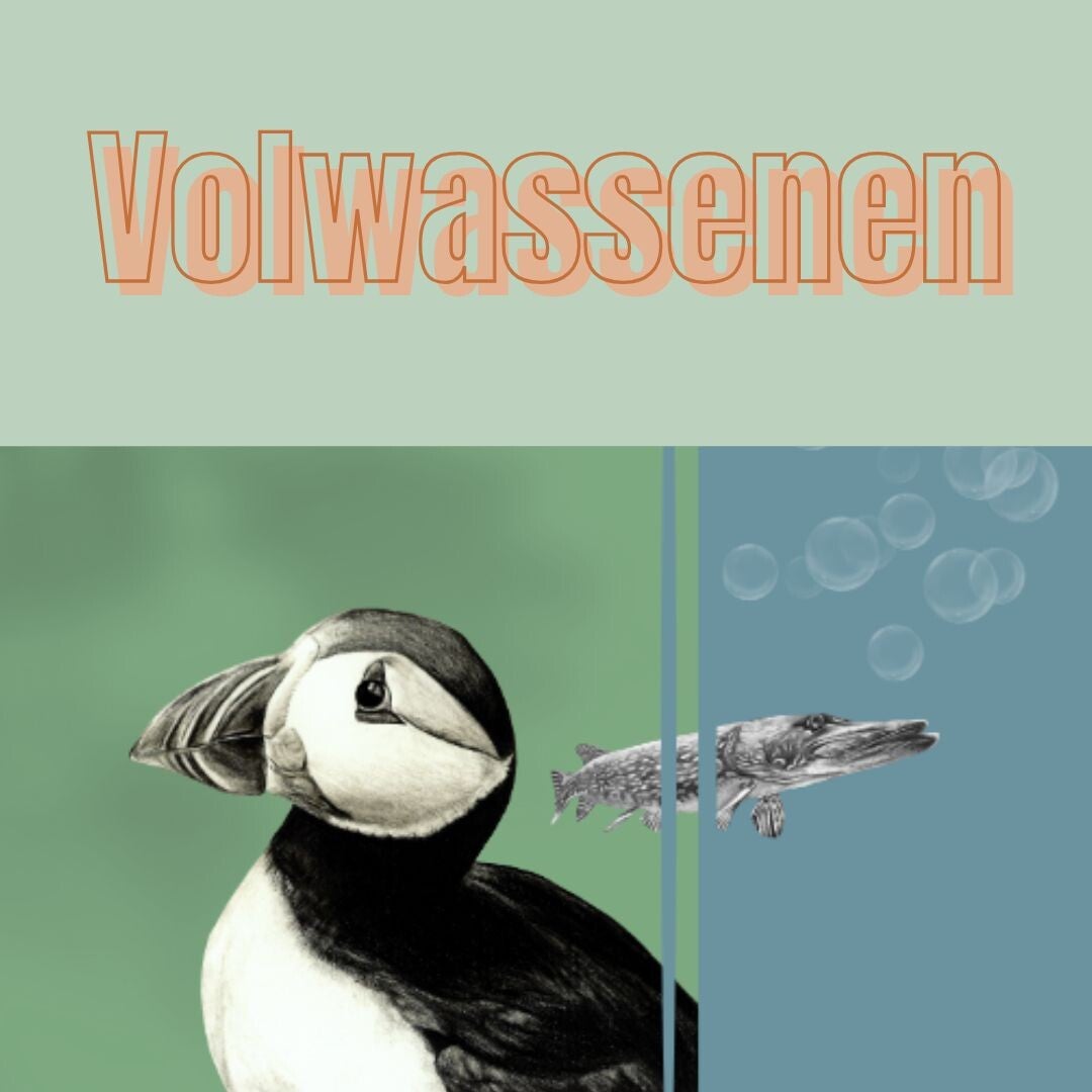 Workshop voor volwassenen