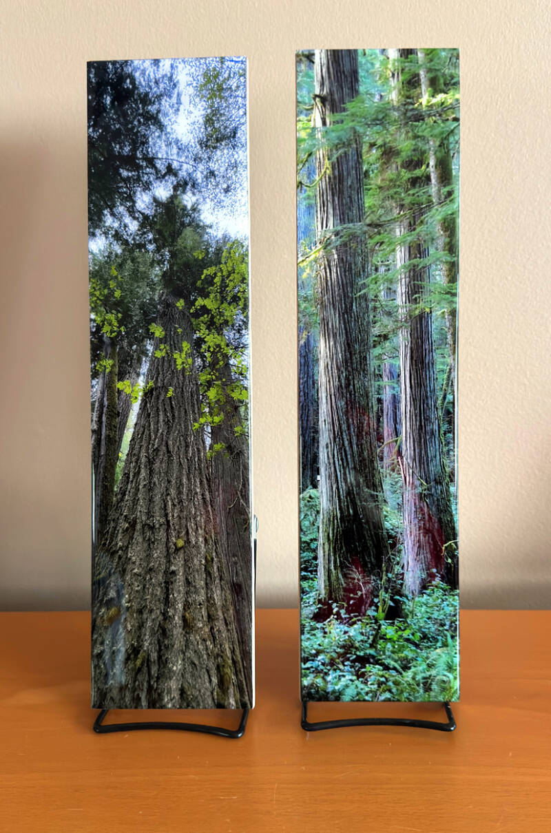 trees-4 x 15 in
