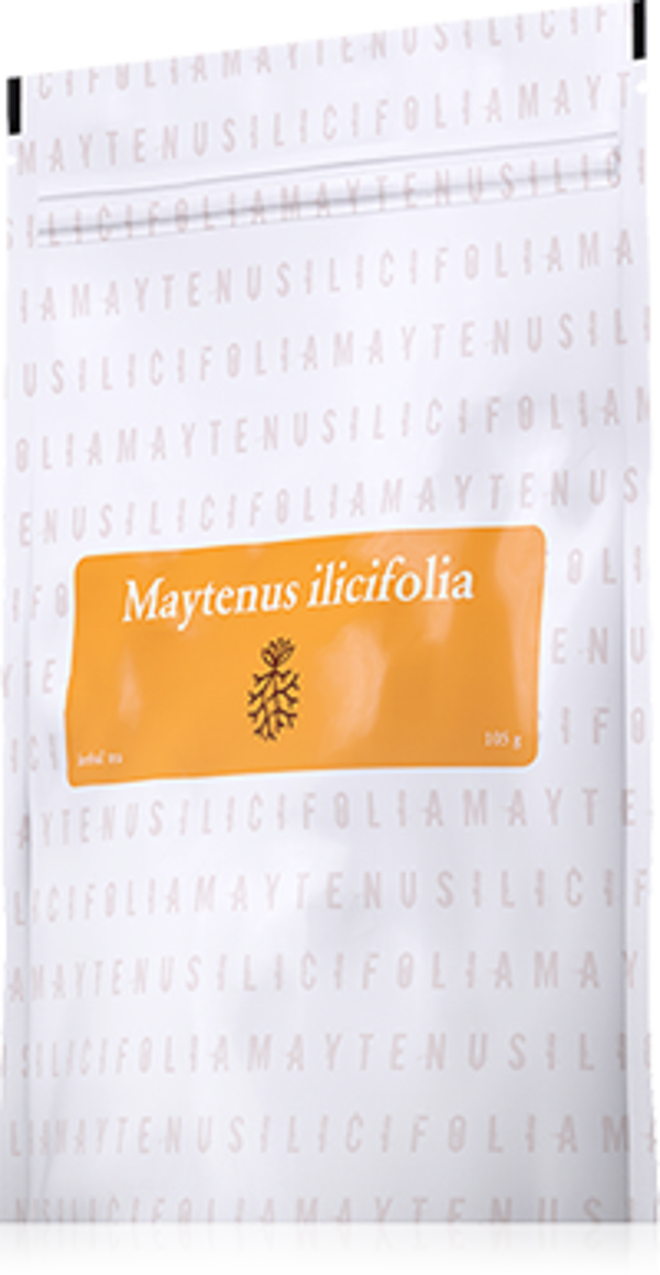 Maytenus Ilicifolia - tea - EN