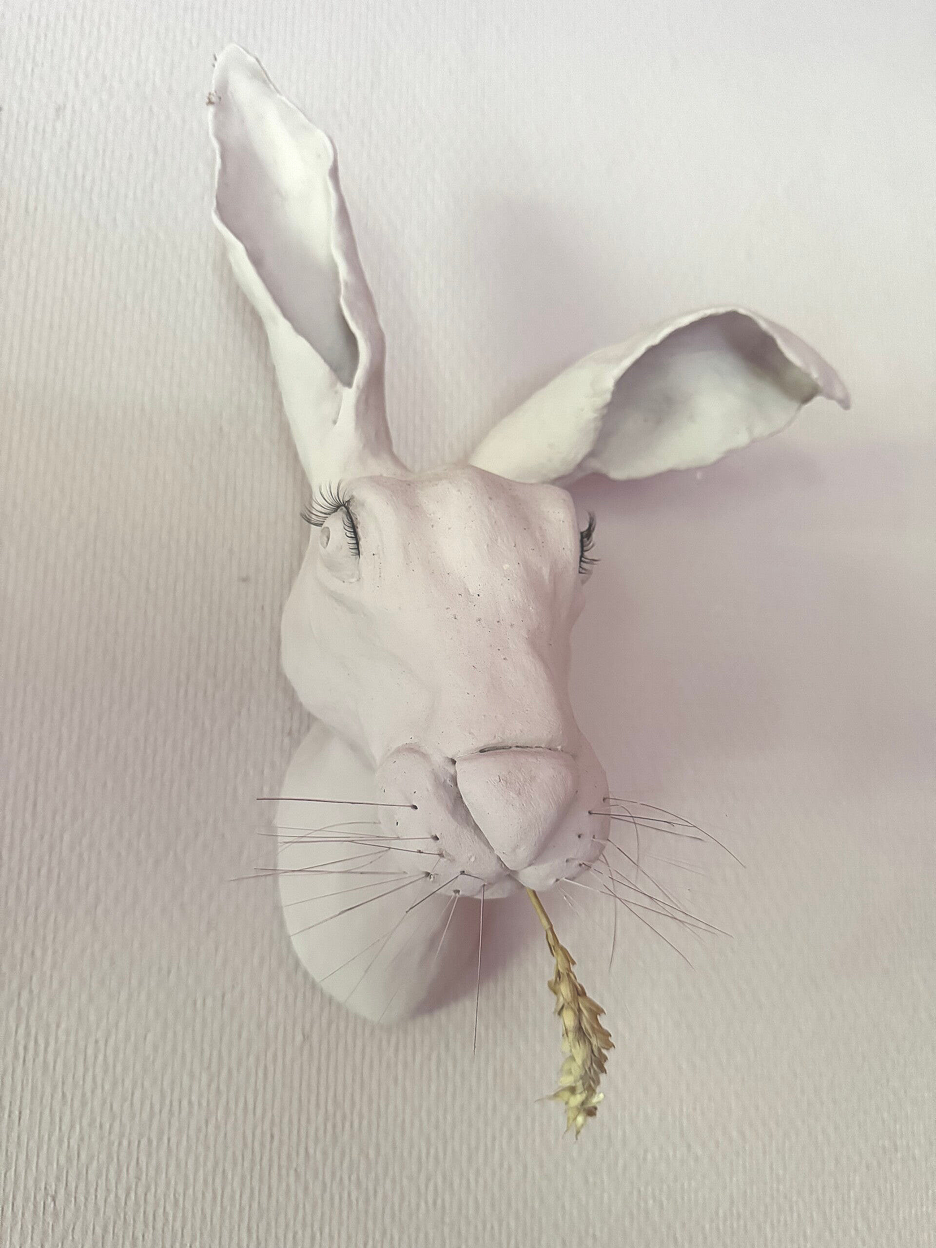 Volwassen levensgenietende haas