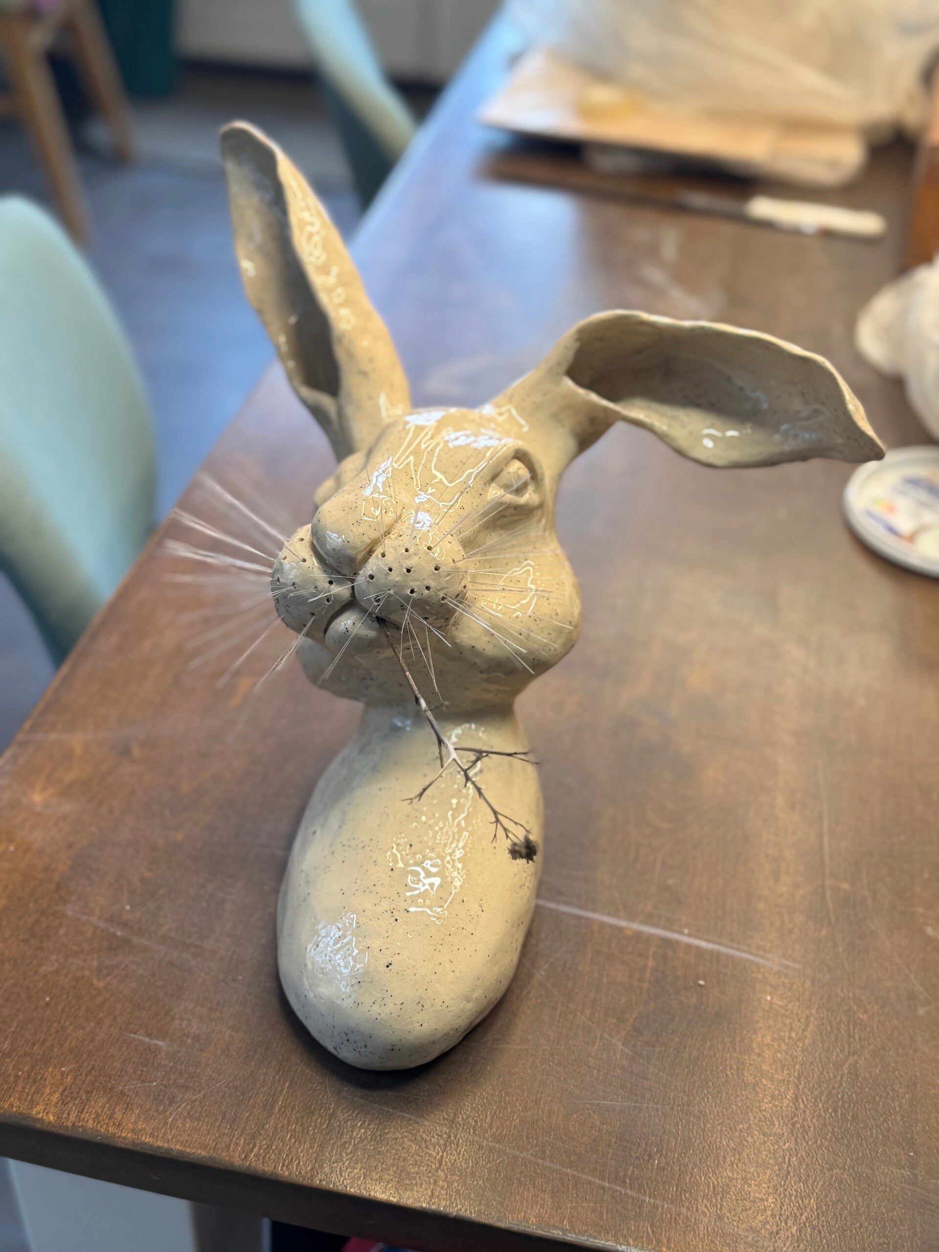 Volwassen levensgenietende haas