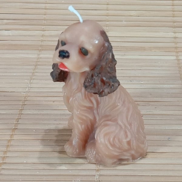Cocker Spaniel