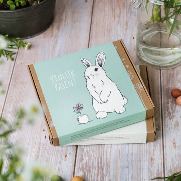 Giftbox met 9 zaadbommetjes VROLIJK PASEN