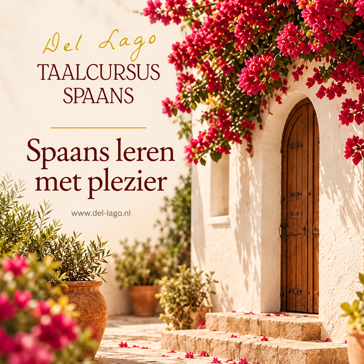 Preview image published by del-lago.nl
