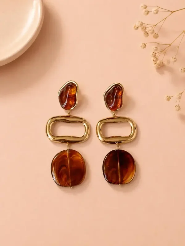 Boucles d'oreilles acier inoxydable et acrylique organique - Marron