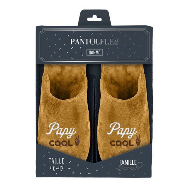 Pantoufles " Papy Cool "