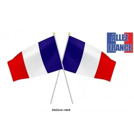 Mini drapeau du supporter