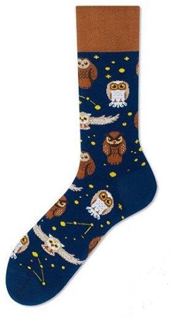 Funny Socks chouettes 2 FS6
