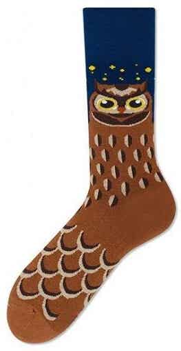 Funny Socks chouette 1 FS5