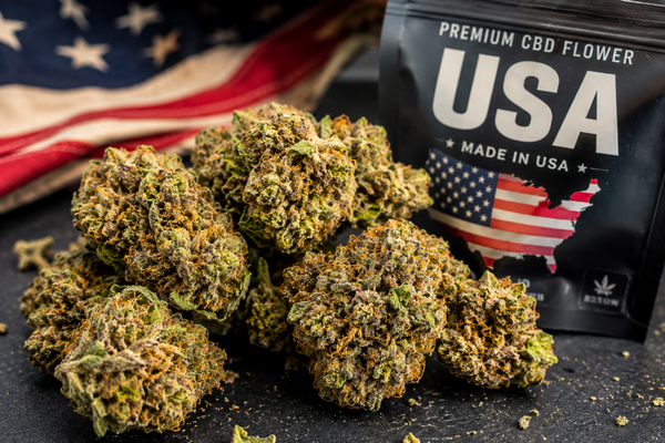 Gorrilla Glue USA 2G ou 5G