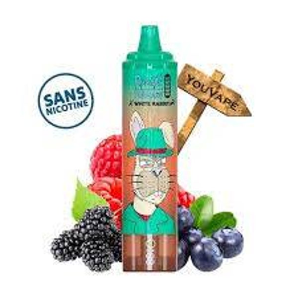 MELANGE DE TOUT LES FRUIT