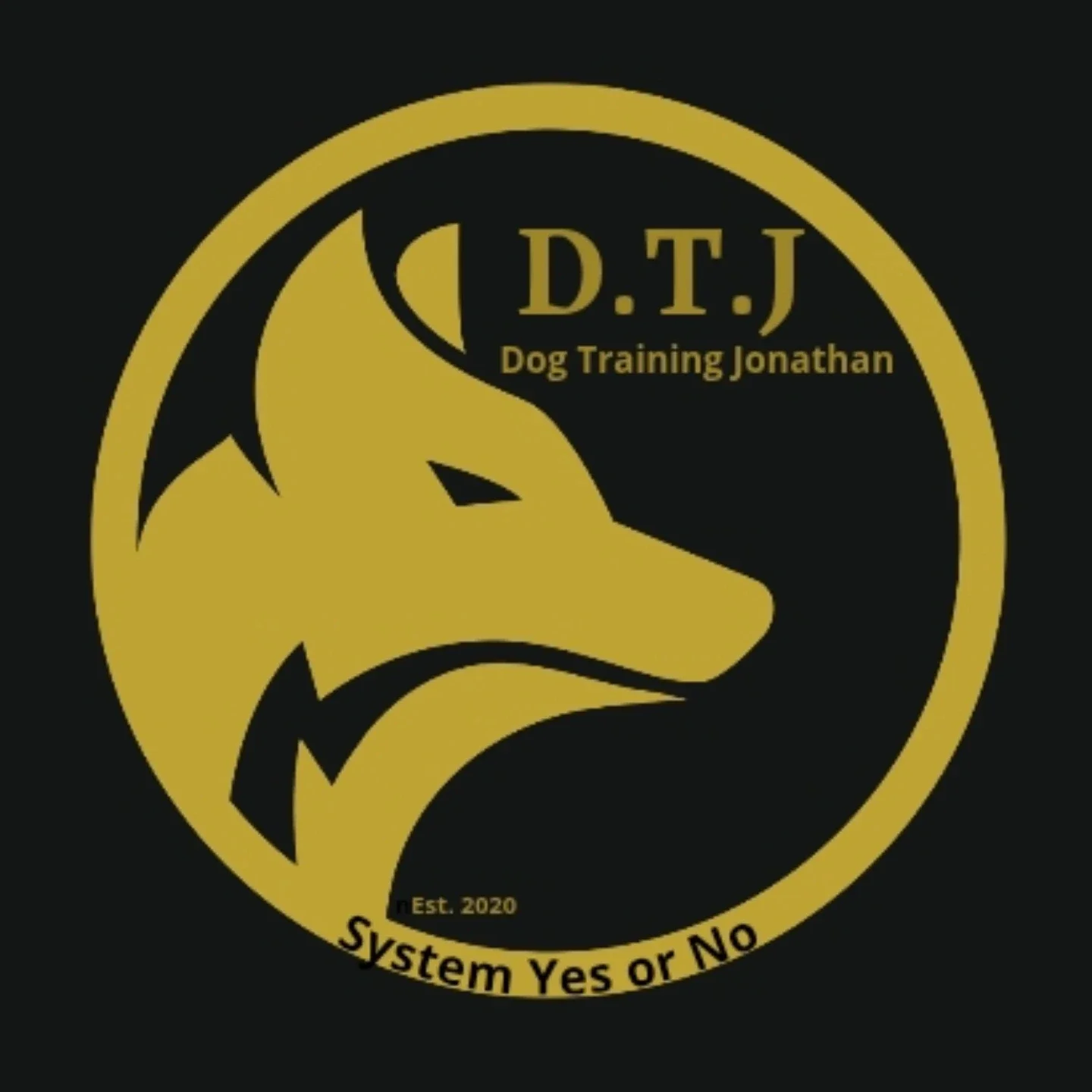 Pro training / maand