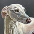 Catherine-McKeown-Art