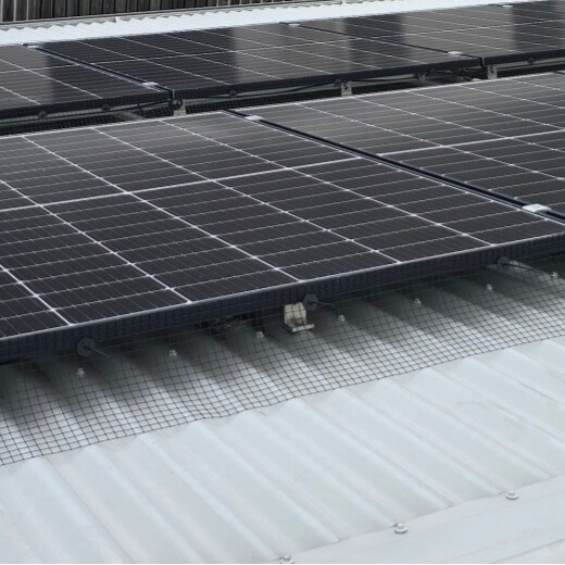 Residential - Bird Management - Solar Panel Proofing