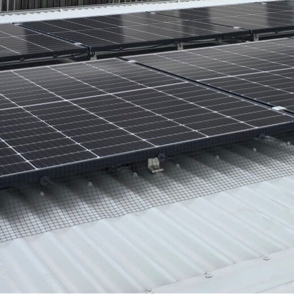 Residential - Bird Management - Solar Panel Proofing