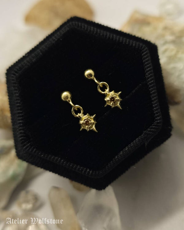 Veritas Stellare | 14K Gold | Made to Order Ear Jewelry | Personisable Gemstone | The Heirloom Vault