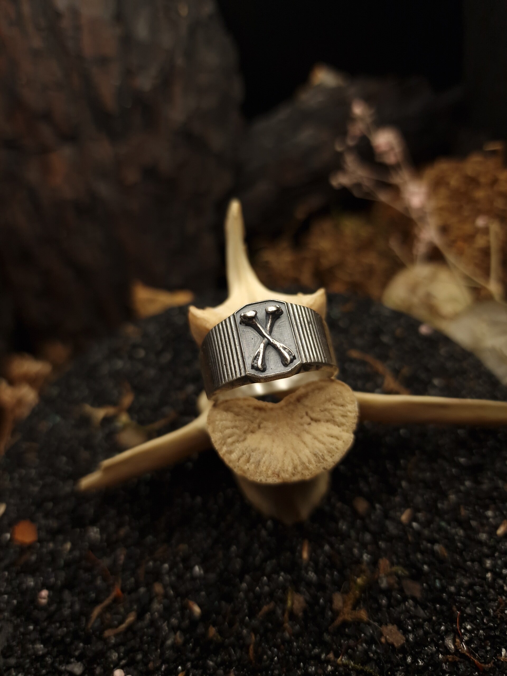 BONES Signet ring | MTO | Curiosity Cabinet