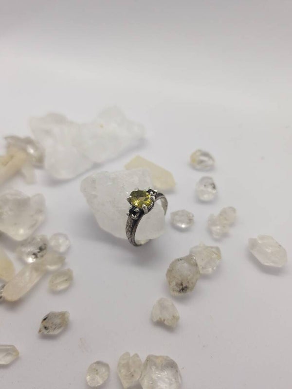 Aconitum Ring | size 16,5 | Ametrine & Amethyst | curiosity cabinet