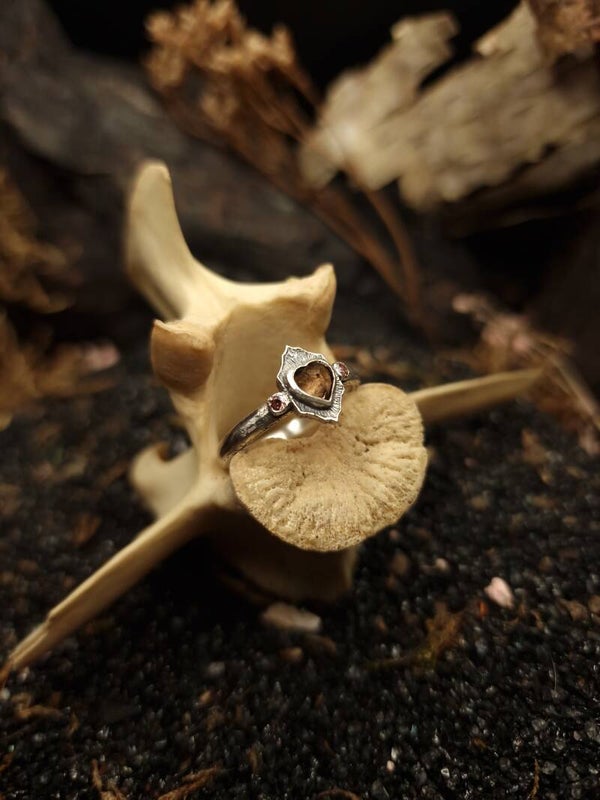 My heart of hearts Ring | size 18 | smokey quartz & Morganite | curiosity cabinet