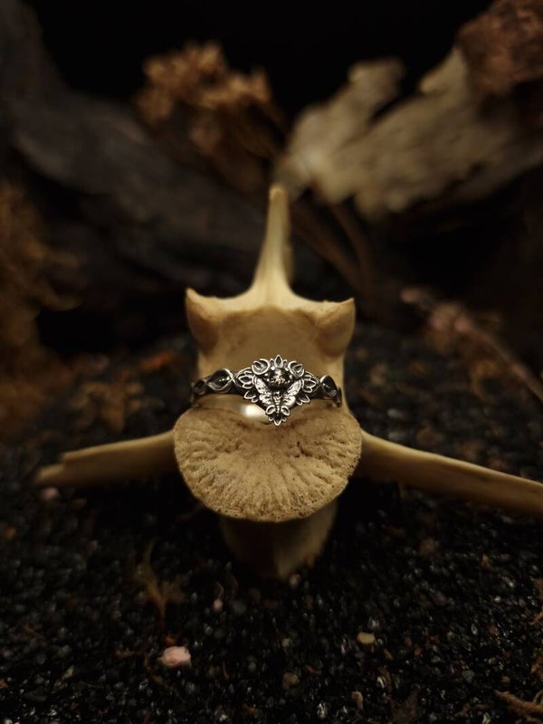 The Agrotis infusa Moth Ring | LIMITED | S&P diamond | Curiosity Cabinet