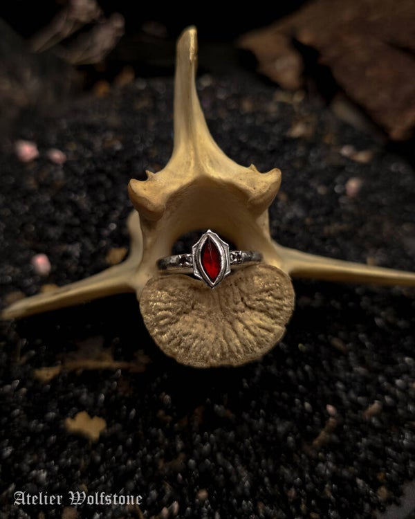 Shielded by the Dark | One of a Kind Ring | size 17 | garnet & smokey quartz | Curiosity Cabinet
