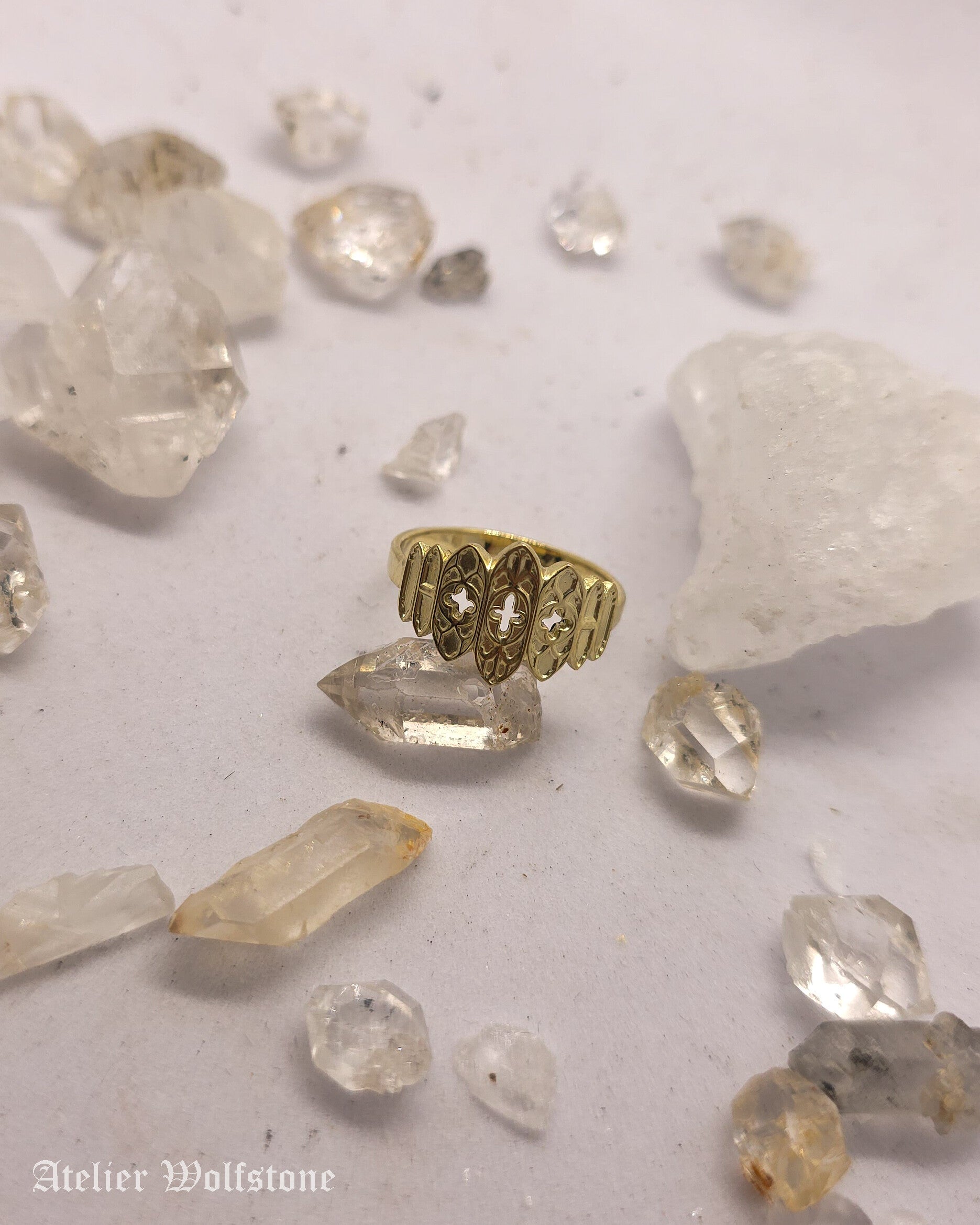 Villain Era Rings | 14K Gold | Made to Order | Size Inclusive | Regina
