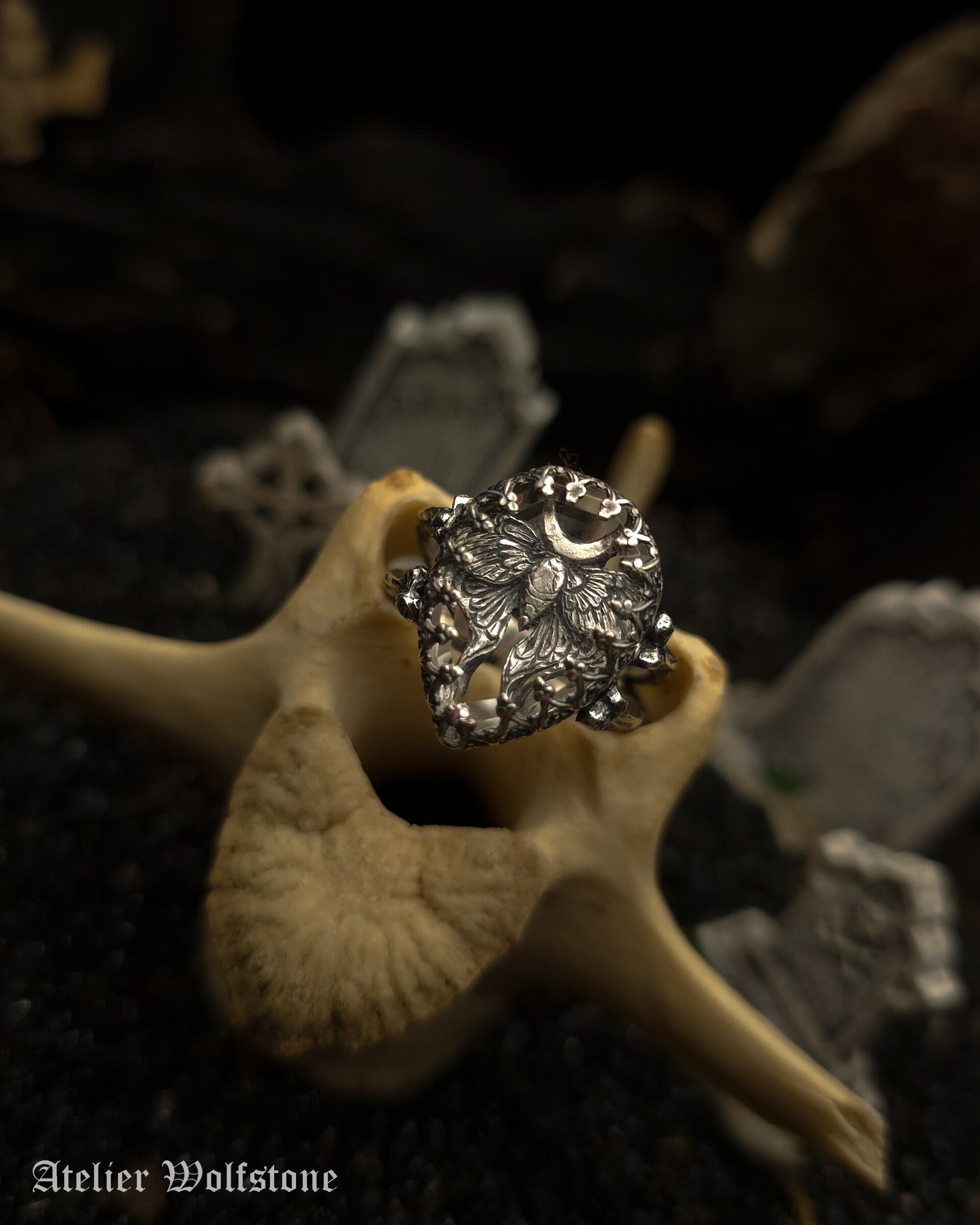 The Moth Shadowbox Ring | Size 18 | One of a Kind | Quartz | Curiosity Cabinet