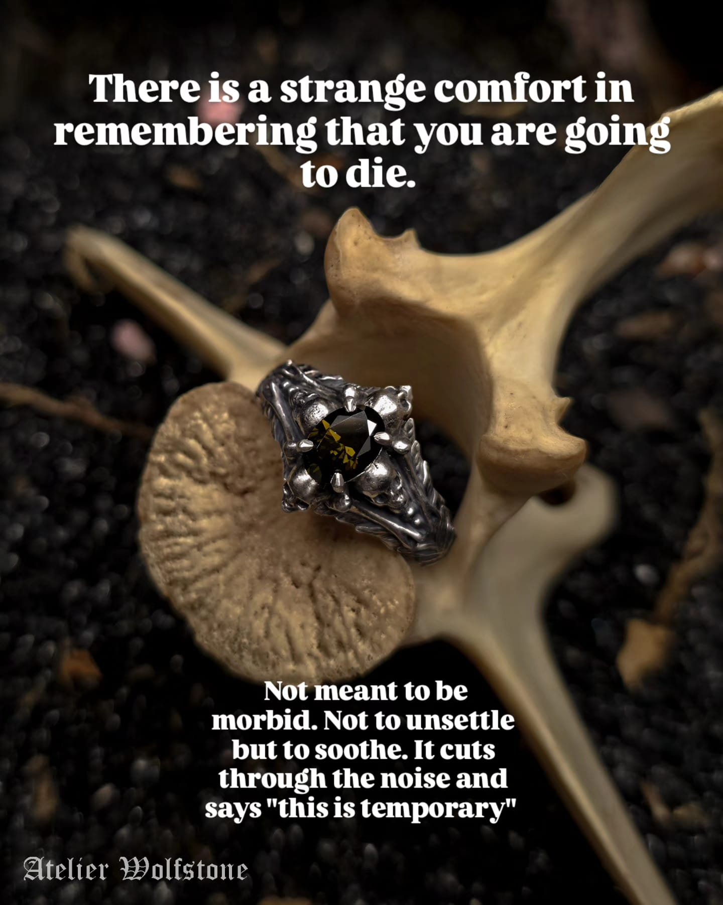 Gothic sterling silver ring with a dark faceted stone and skull detailing, photographed on bone against dark soil