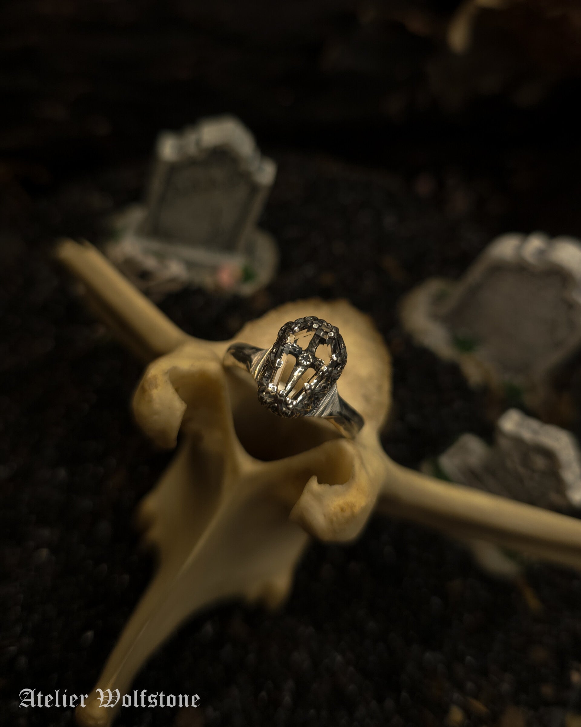 The Sword Shadowbox Ring | Size 17 | One of a Kind | Quartz | Curiosity Cabinet