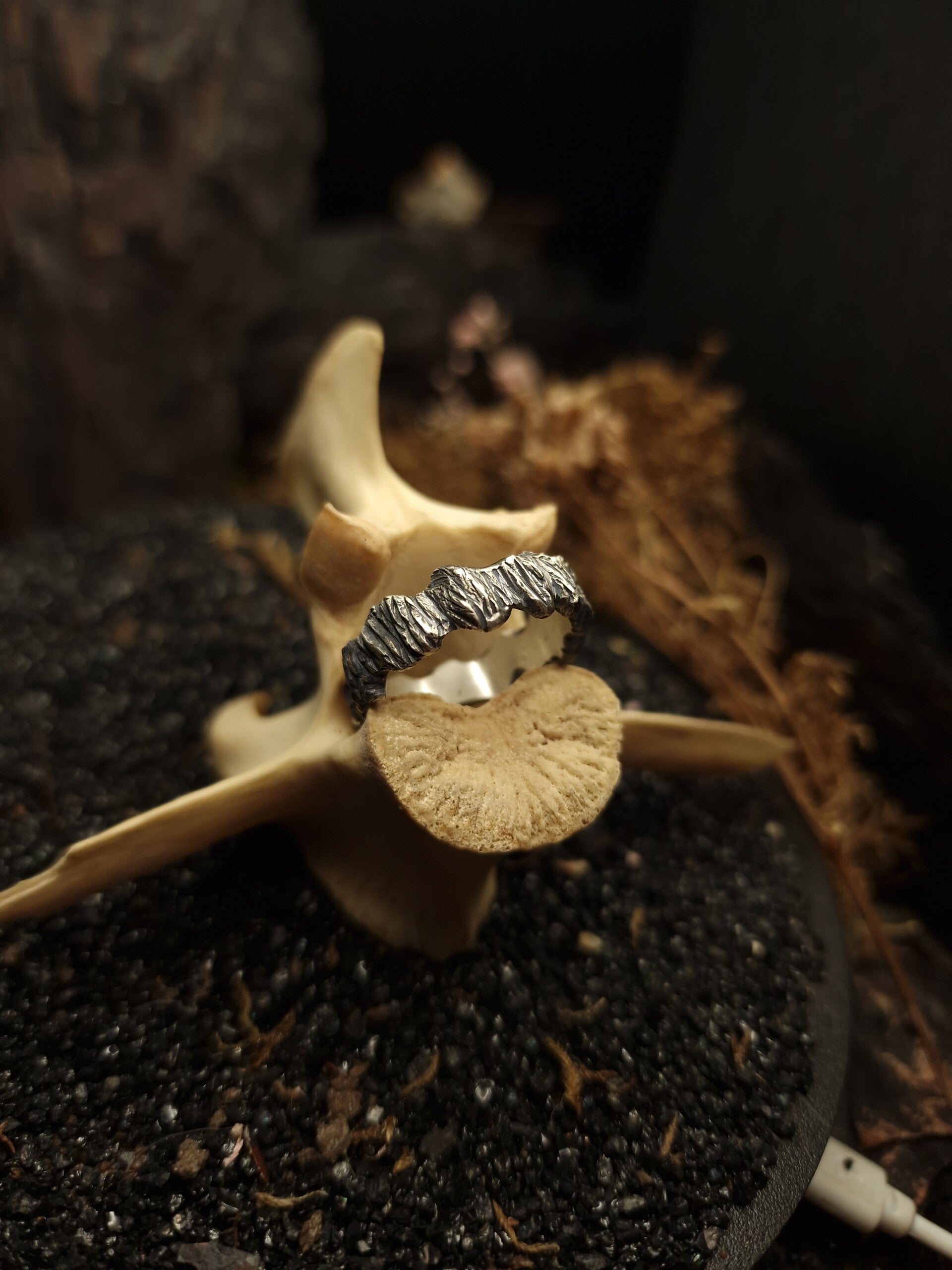 The BARK Ring | size 16 | Curiosity Cabinet