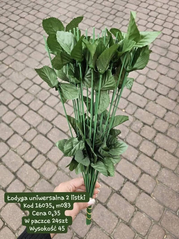 Łodyga 2 listki
