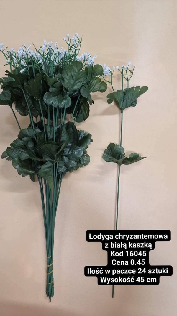 Łodyga z białą kaszką