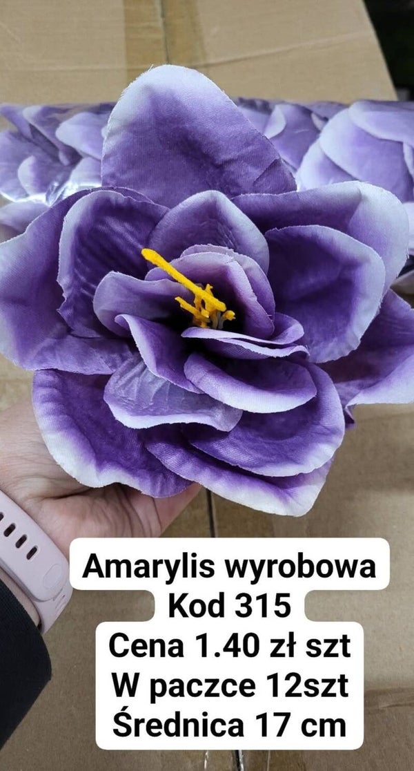 AMARYLIS WYROBOWY - cena za paczkę 12 sztuk