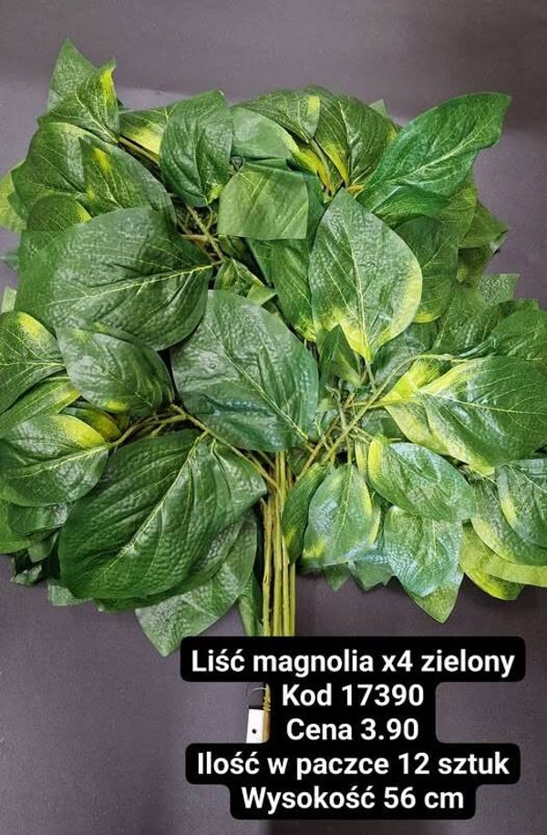 LIŚĆ MAGNOLIA ZIELONY X4 - cena za paczkę 12 sztuk