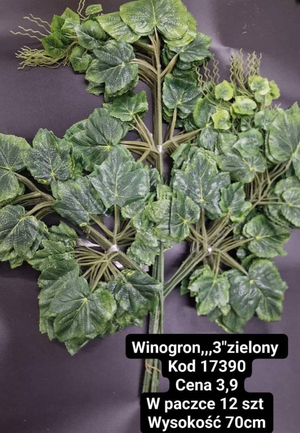 LIŚĆ WINOGRON ZIELONY SZTYWNY - cena za paczkę 12 sztuk