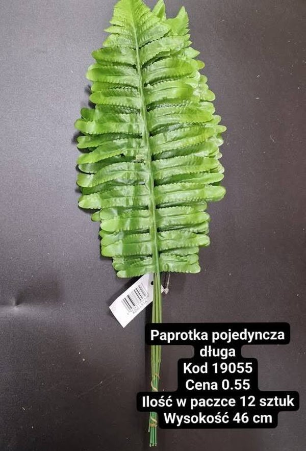 PAPROTKA POJEDYNCZA DŁUGA - cena za paczkę 12 sztuk