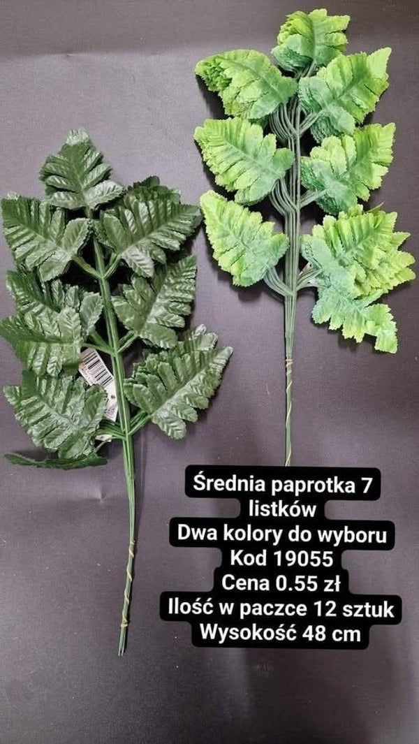 PAPROTKA DUŻA 7 LISTKÓW- cena za paczkę 12 sztuk