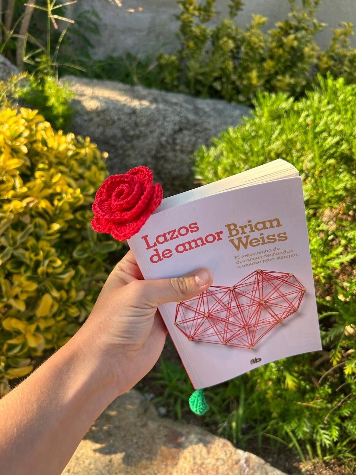 Segnalibro rosa rossa 🌹