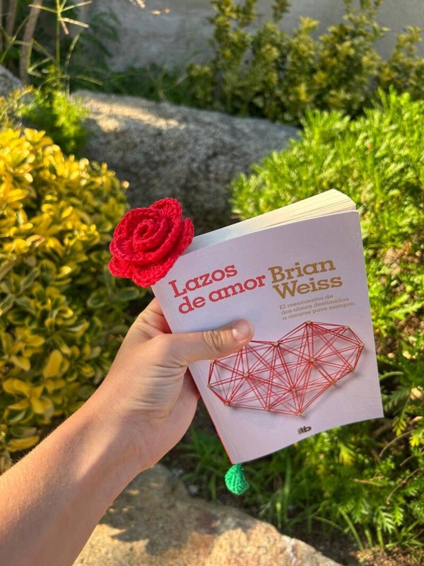 Segnalibro rosa rossa 🌹