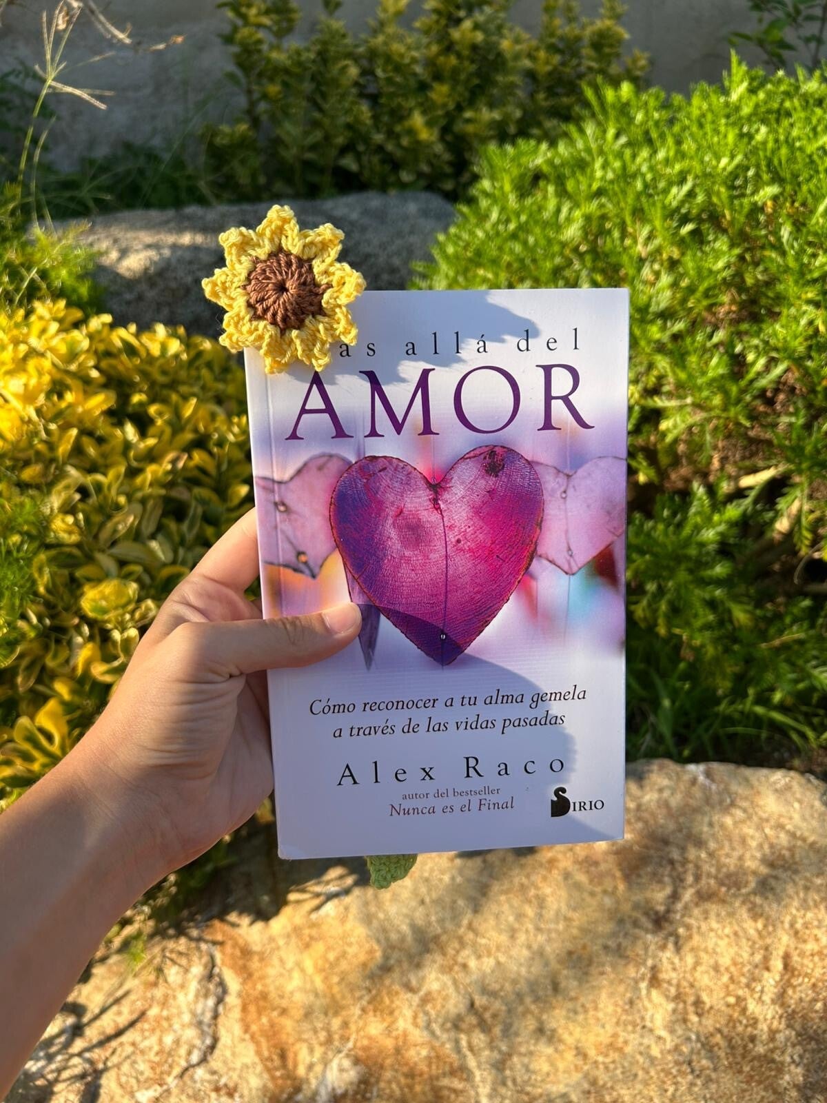 Segnalibro girasole 🌻📖