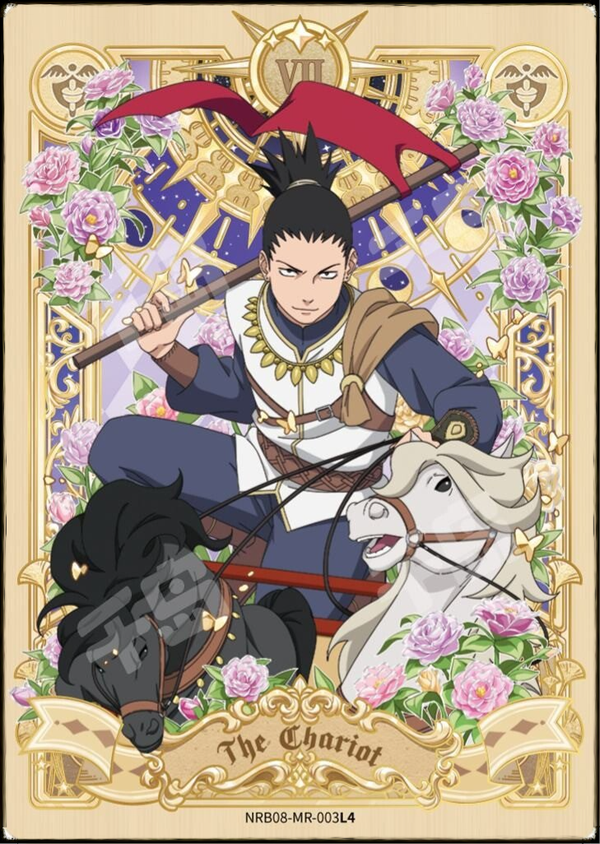 SHIKAMARU MR-003L4 NRB08